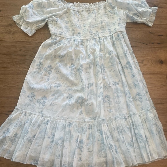 Ivy City Co Dresses & Skirts - Ivy City Blue Toile Dress 3x